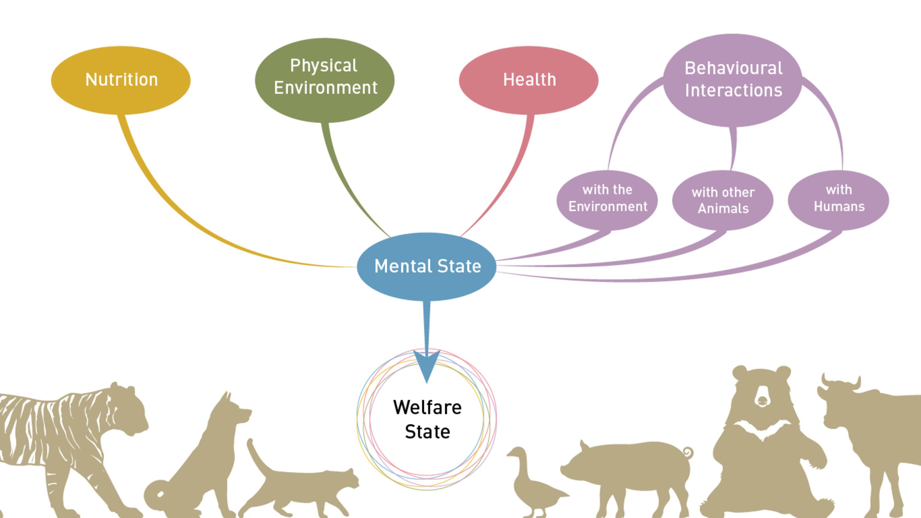 Future Directions In Research Balancing Scientific Needs Alongside Animal Welfare Concerns 