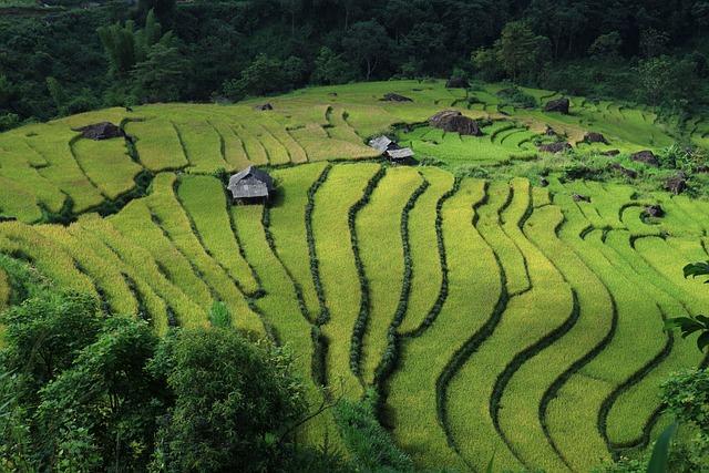 Vietnam outpaces Malaysia and Thailand in 2024 export growth - Nikkei Asia