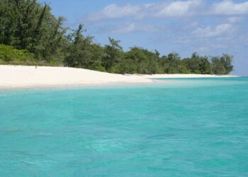 Timor-Leste joins the Asia Power Index – The Interpreter