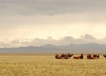 Mongolia to host first World Boxing competition in Asia – Insidethegames.biz