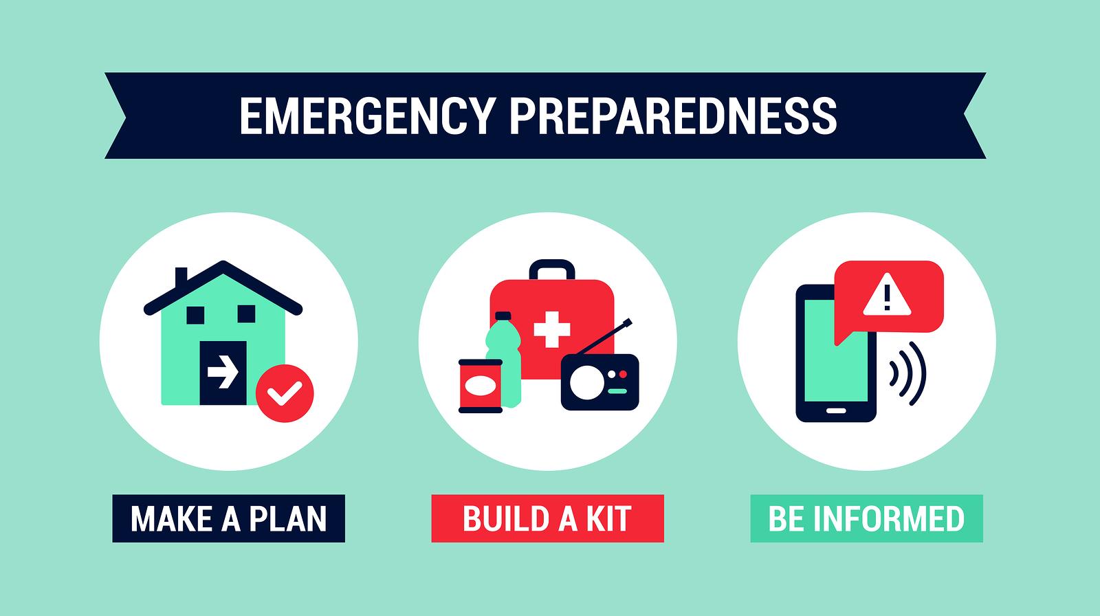 Strategies For Disaster Preparedness And Climate Resilience In Yemen