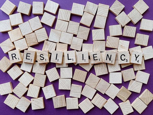 Key Strategies For Strengthening Urban Resiliency Among Vulnerable Communities In Bhutans 