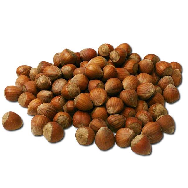 Hands-On Learning Experience on the Hazelnut Farm