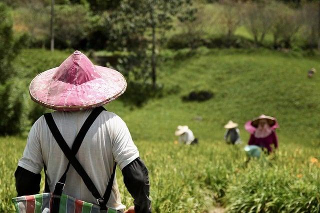 Enhancing Economic Opportunities for Female Farmers