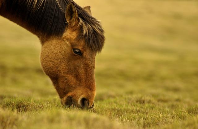 ADB Secures Funding to Enhance Mongolia's Climate Resilience