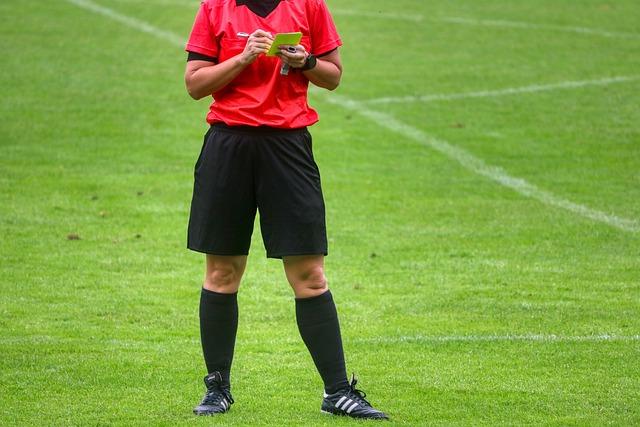 The Impact of Referee Nationality on International Competitions