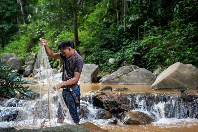 The Role of Bed Nets and Anti-Malarial Tablets