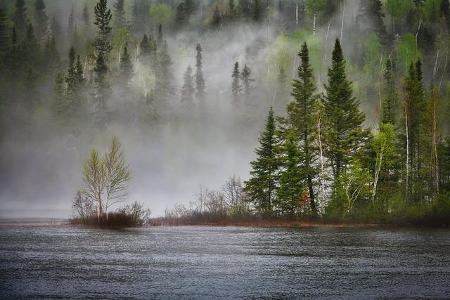Climate Change's Influence on Allergies