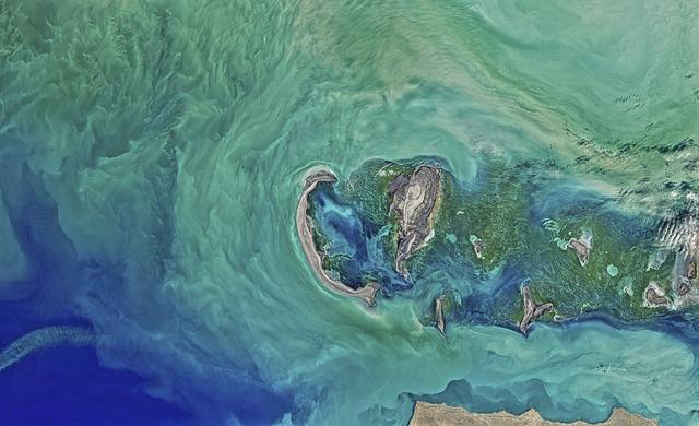 Turkmenistan's Commitment to Preserving the Caspian Sea