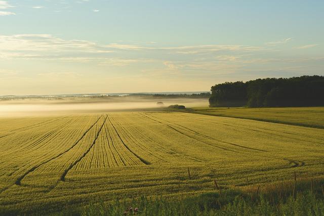 Impact Assessment: Land Bridge Projects on Regional Trade Dynamics