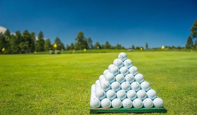 Georgia men’s golf starts season with top-10 finish in Puerto Rico Classic – Red and Black