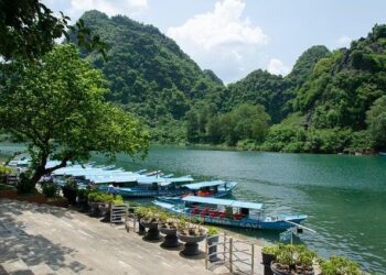 Vietnam – September 2024 – USDA Foreign Agricultural Service