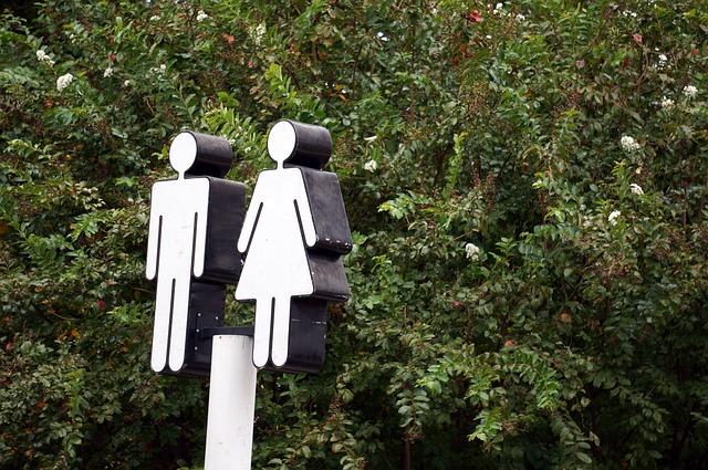 Gender Dynamics: Social Consequences of Disparity