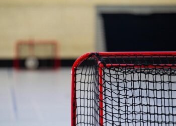 Kazakhstan Men’s Hockey Team Reaches Asian Winter Games Finals in Harbin – Astana Times