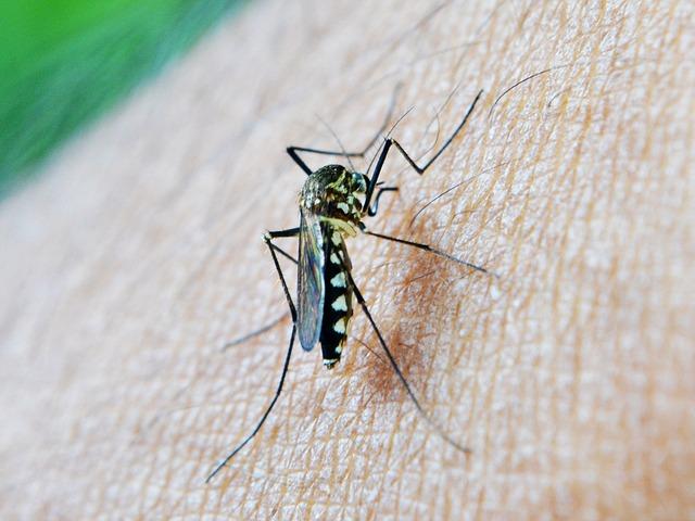 Current Surveillance Approaches for Effective Monitoring of Malaria