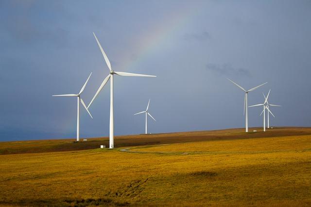 Sustainable Practices For Thriving Ecosystem
