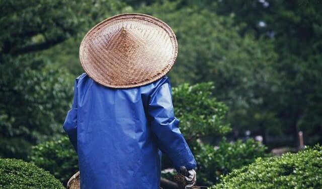 Asia is caught in the crossfire of erratic U.S. energy policy – Nikkei Asia
