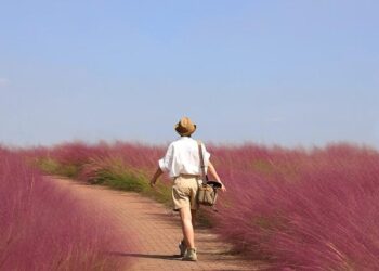 travel between Turkey and Kazakhstan – Travel And Tour World