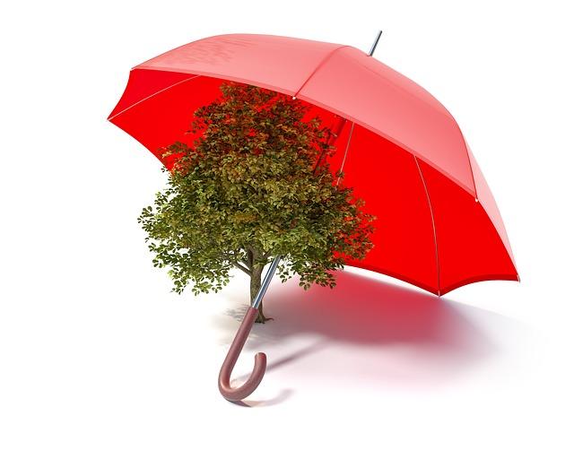 Challenges Faced By Dwellers In Implementing Eco-Friendly Solutions