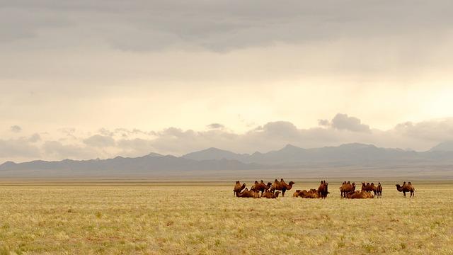 Objectives of the Mongolia-Nature Conservancy Collaboration