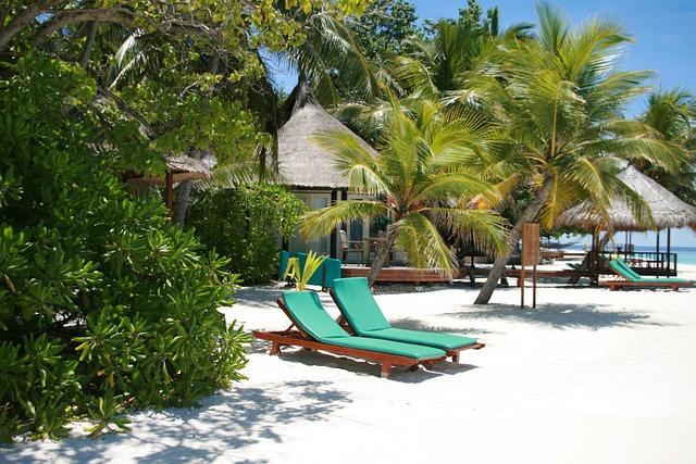 Maldives' Tree Planting Initiative