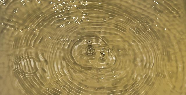 Adaptation Strategies Villagers Use Against Scarcity