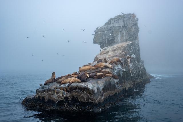 Navigating Challenges as Island Business Owners