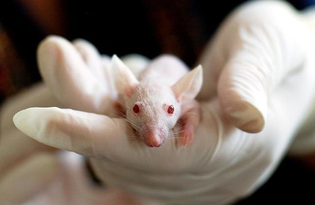 Implications For Researchers And Life Sciences Companies In Australia