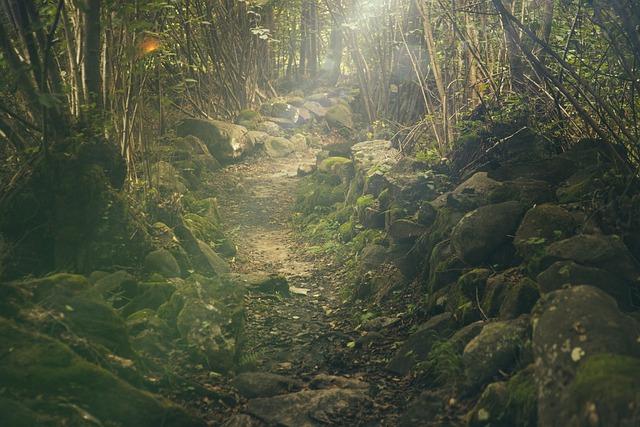 Nature's Masterpiece: Scenic Trails and Breathtaking Vistas