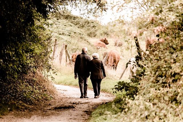 Emotional Strain Experienced By Elderly Caregivers