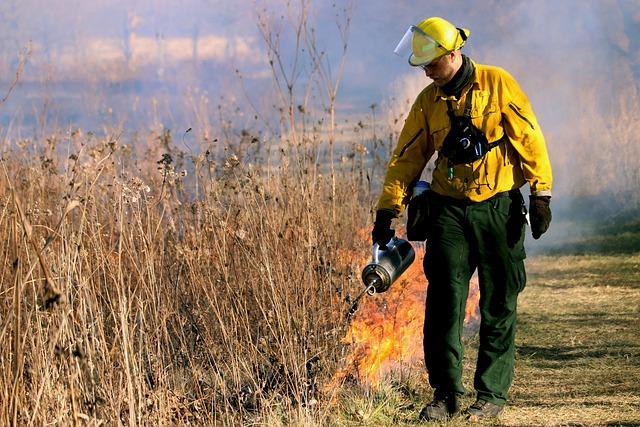 Wildfires Impact Communities