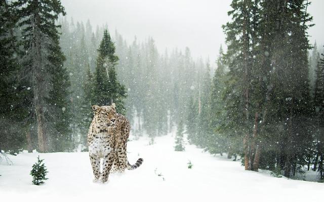 Research Efforts Essential For Species Preservation
