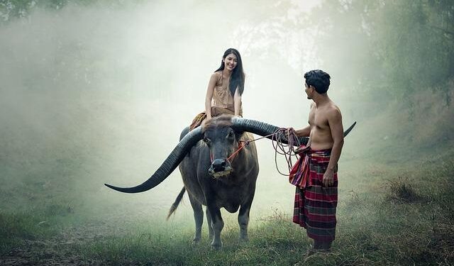 Cambodia: Witnessing cultural wonders and historic horrors – Times Colonist