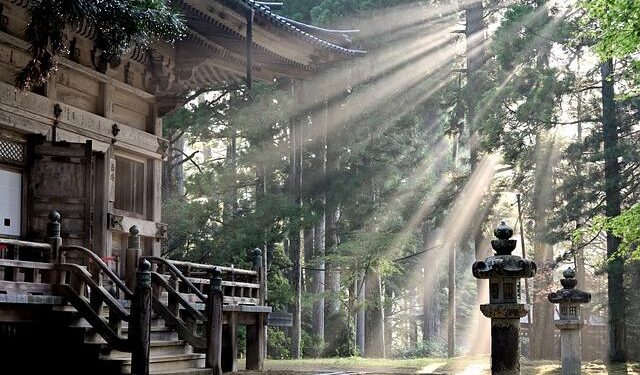 Co-Pros, Sales, Formats: ‘Japan Is Now the Cool Place You Want to Be’ – The Ankler.