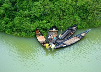 No Alternative To India? What Bangladesh Interim Government Chief Adviser’s Words Signify – ETV Bharat