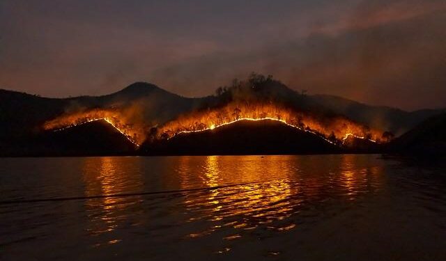 Over 150 wildfires reported in Georgia over the weekend – WALB