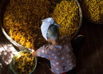 Podcast | From silk road to skyscrapers: Charting the investment landscape between Asia-Pacific and the United Arab Emirates – Economist Impact