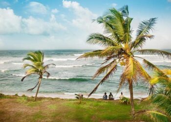 Sri Lanka eases vehicle import ban, but can people afford a car? – BBC.com