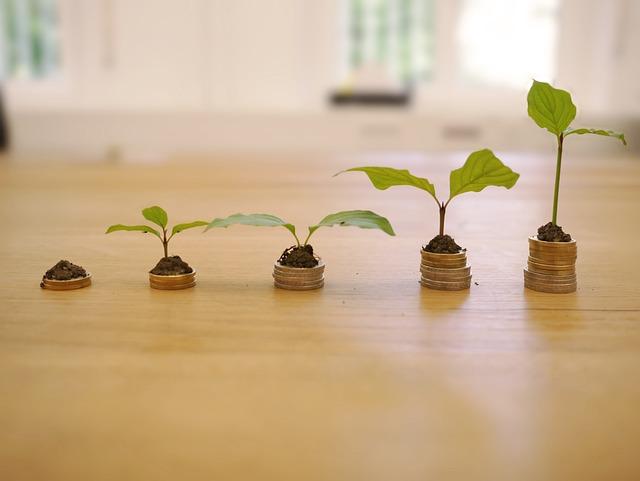Financial Considerations Associated With Surrogate Arrangements