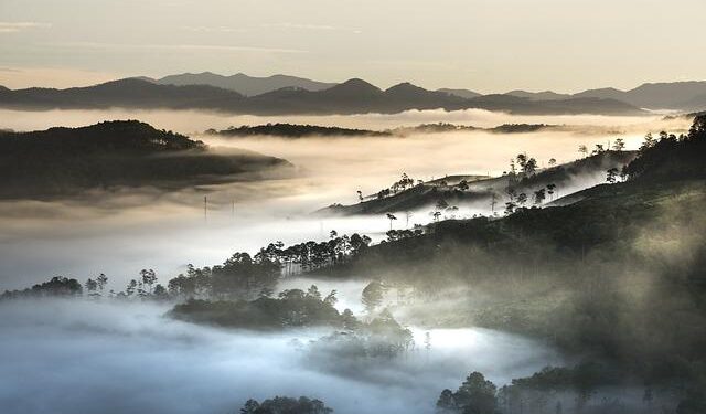 Vietnam and Singapore to enhance economic connectivity – Vietnam Investment Review