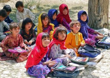 Afghanistan: Opium prices approach historic peaks, crime syndicates benefit – UN News