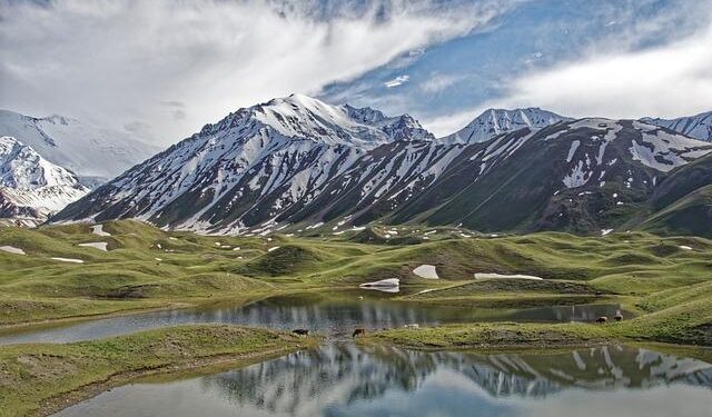 It has become known when the border between Tajikistan and Kyrgyzstan will be opened – Азия-Плюс