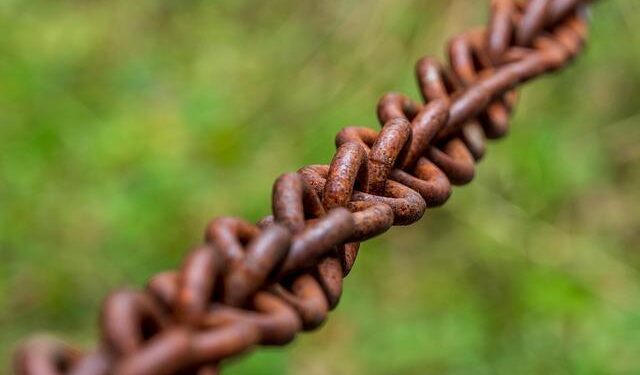 Grid connections in Turkey and Bangladesh among Rosatom’s 2025 priorities – World Nuclear News