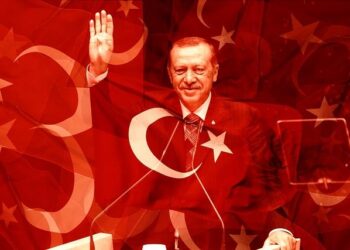 Erdogan Highlights Turkey’s Human-Centric Policies Shaping Strategic Goals – AL24 News