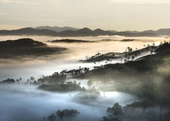 Successful Vietnam premiere: Agritechnica Asia brings solutions to farming professionals for a long−term commitment 17.03.2025 14:00 CET – TheNewsMarket
