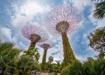 Singapore’s new heatwave response plan includes cooling spaces, suspension of outdoor activities – The Straits Times