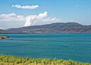 Armenia’s Digital Technology Adoption by Firms – World Bank Group