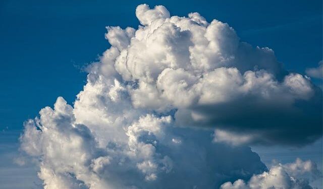At India Climate Conference, Harvard’s South Asia ties take center stage – Harvard Gazette