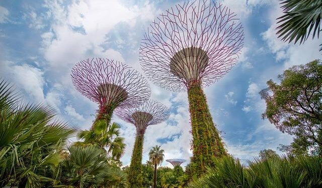 Ethiopian: Five flights weekly to Singapore – TTR Weekly