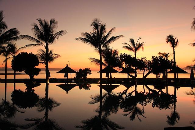 Understanding Indonesia's Palm Oil Export Levy Increase: Global Market Effects